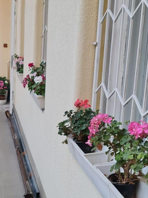 Lejlighed Liszt With Balcony And Garage Available -symphony 1 Budapest