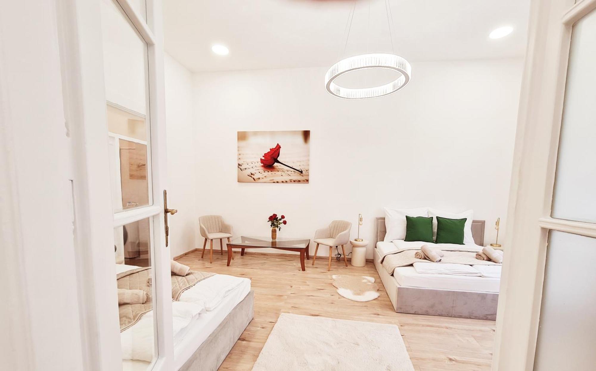 Liszt With Balcony And Garage Available -symphony 1 Apartament